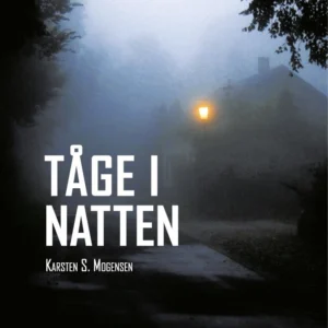 Tåge i natten