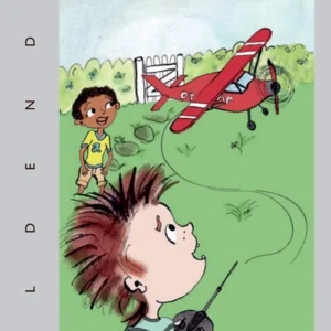 Matt's plane