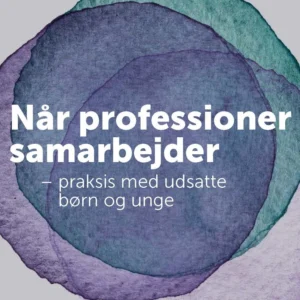 Når professioner samarbejder