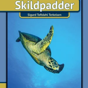 Skildpadder