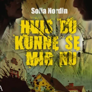 Hvis du kunne se mig nu