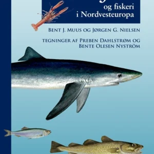 Havfisk og fiskeri