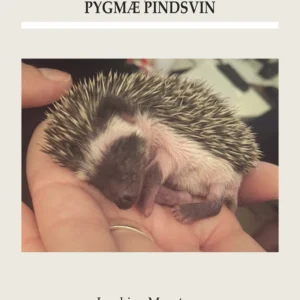 Pasning og pleje af afrikanske pygmæ pindsvin