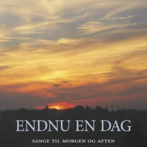 Endnu en dag