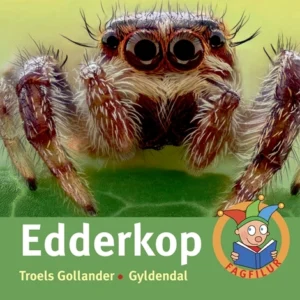 Edderkop