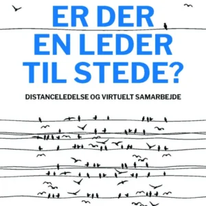 Er der en leder til stede?
