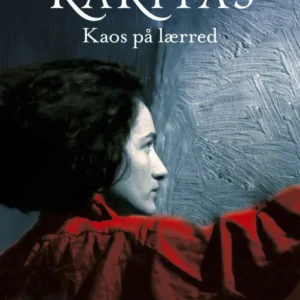 Karitas. Kaos på lærred