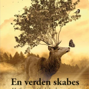 En verden skabes