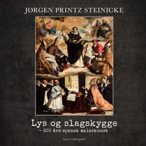 Lys og slagskygge