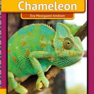 Chameleon