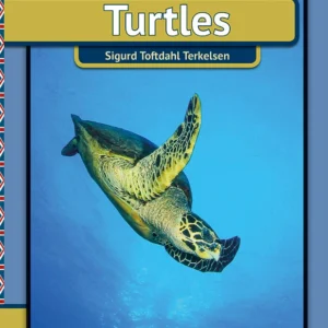 Turtles
