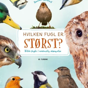 Hvilken fugl er størst?