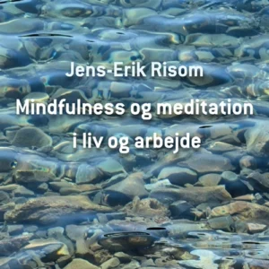 Mindfulness og meditation i liv og arbejde