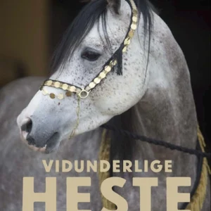 Vidunderlige heste