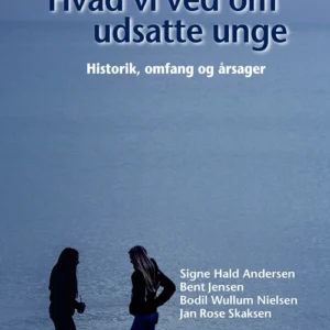 Hvad vi ved om udsatte unge 1