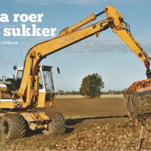 Fra roer til sukker