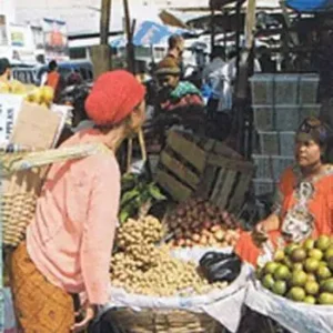 Borneo / Kalimantan