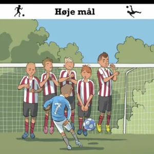 FC Fodboldvenner 6 - Høje mål