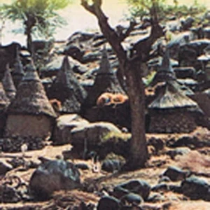 Cameroon & Gabon