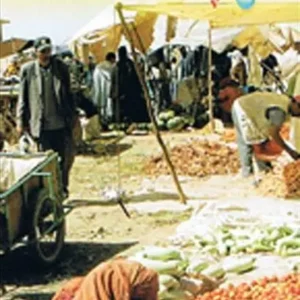 Marrakesh & Northern Morocco, International Travel Maps