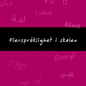 Flerspråklighet i skolen