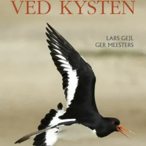 Fugle ved kysten