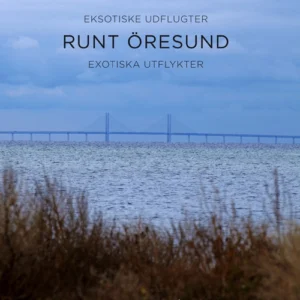 Runt Ãresund