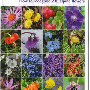Alpine Flowers