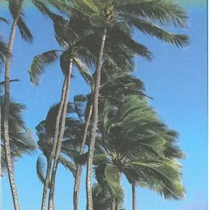 Fiji & Tonga