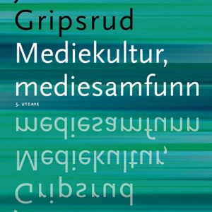 Mediekultur, mediesamfunn