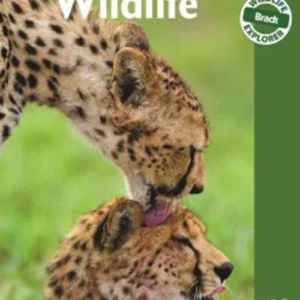East African Wildlife