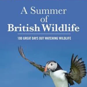 A Summer of British Wildlife: 100 great days out watching wildlife