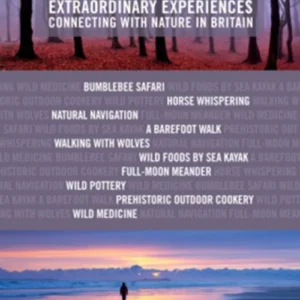 Wild Times: Extraordinary Experiences Connecting with Nature in Britain