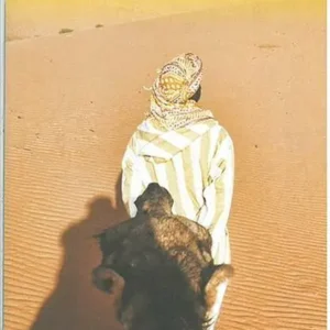 Sahara