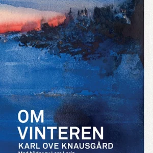 Om vinteren