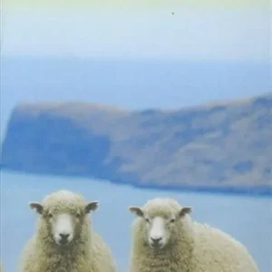 New Zealand's South Island