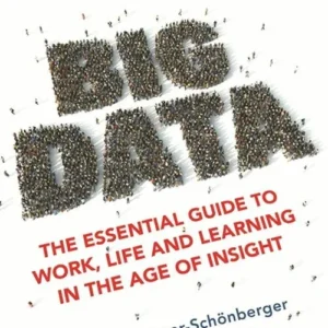 Big Data: The Essential Guide to Work, Life and Learning in the Age of Insight