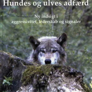 Hundes og ulves adfærd
