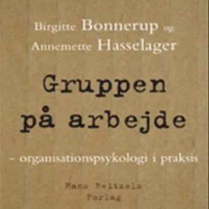Gruppen på arbejde