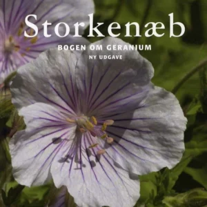 Storkenæb