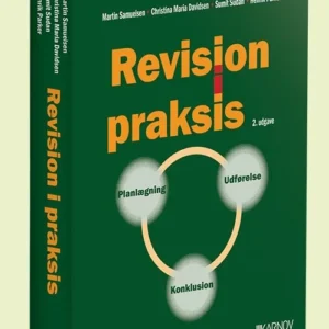 Revision i praksis - Planlægning, Udførelse, Konklusion