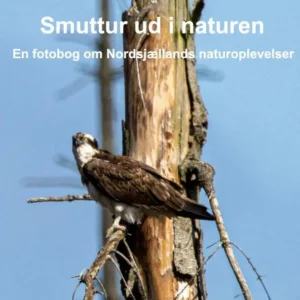 Smuttur ud i naturen