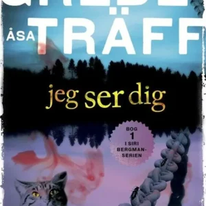 Jeg ser dig
