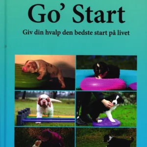 Go' Start