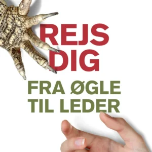 Rejs dig