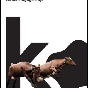 Ko  -  næsten alt om verdens vigtigste dyr