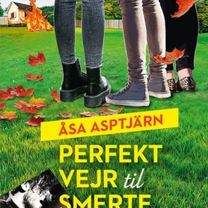 Perfekt vejr til smerte