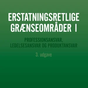 Erstatningsretlige grænseområder I