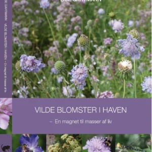 Vilde blomster i haven