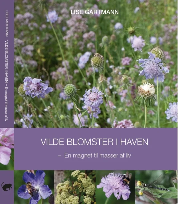 Vilde blomster i haven